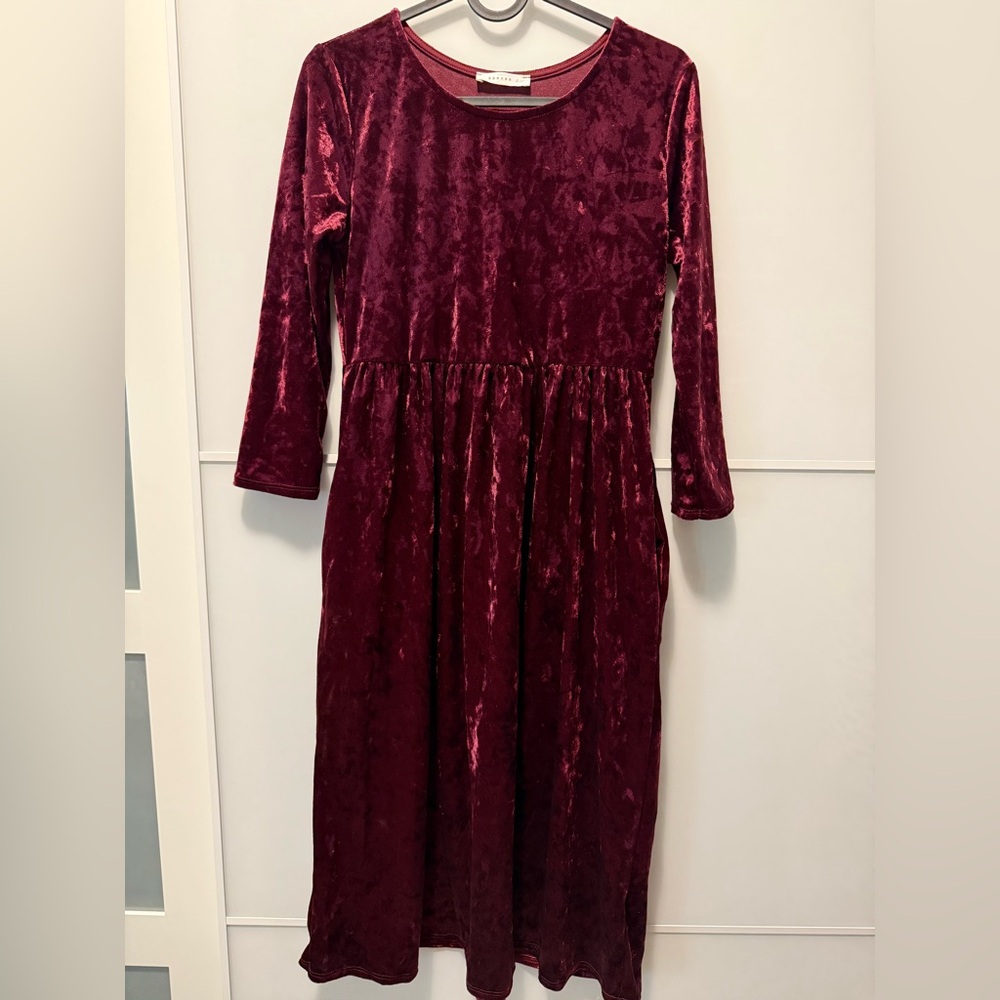 Reborn Burgundy Velvet Dress